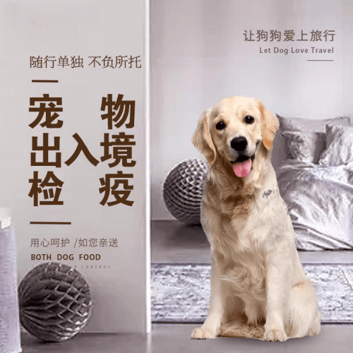 娄底市宠物托运到哥伦比亚猫狗宠物入境规定和