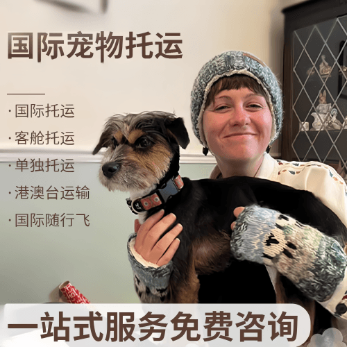 娄底市国际宠物托运到阿根廷宠物入境规定和要