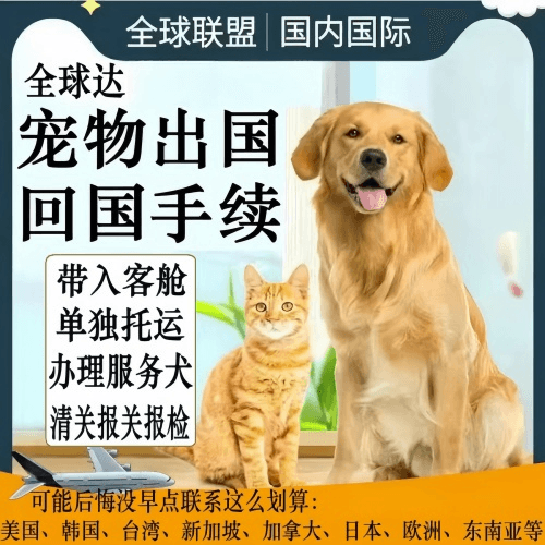 娄底市宠物托运到柬埔寨宠物入境规定和要求