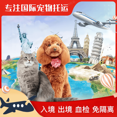 娄底市宠物托运到美国宠物入境最新规定和要求