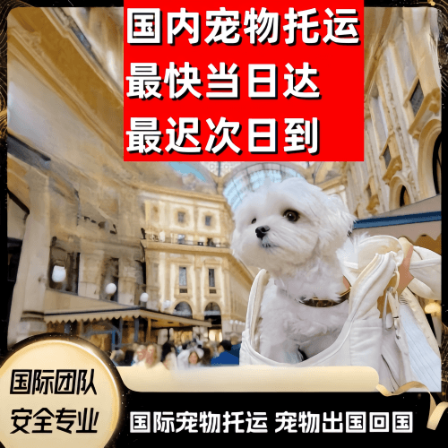 娄底市到澳大利亚（澳洲）宠物入境规定和要求